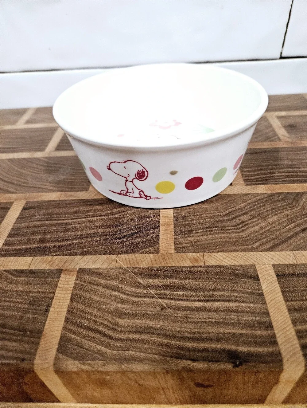 Ceramic Peanuts Snoopy & Woodstock Floral Pet Dog Feeding Water Bowl